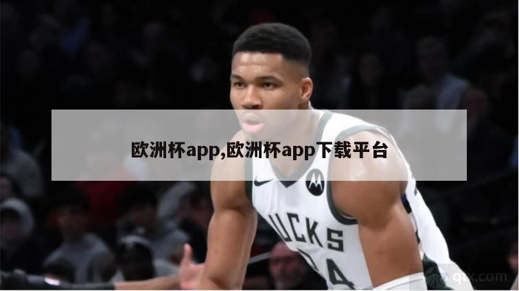 欧洲杯app,欧洲杯app下载平台