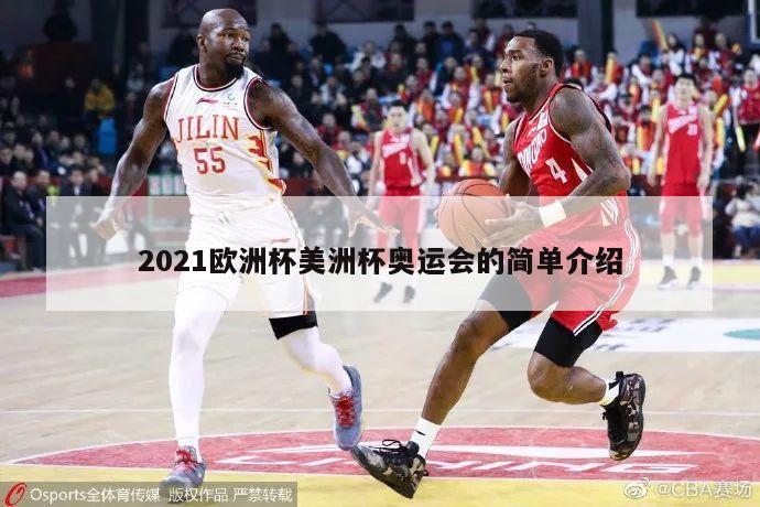 2021欧洲杯美洲杯奥运会的简单介绍