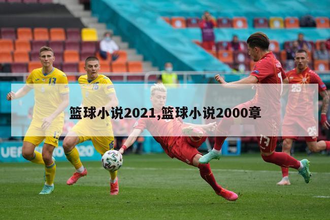 篮球小说2021,篮球小说2000章