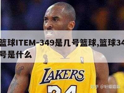 篮球ITEM-349是几号篮球,篮球34号是什么