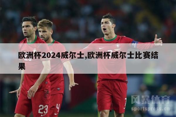 欧洲杯2024威尔士,欧洲杯威尔士比赛结果