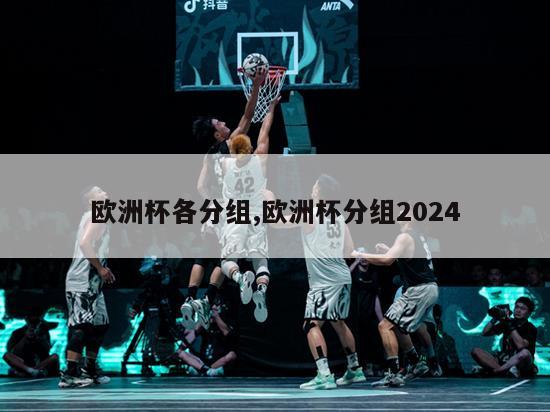 欧洲杯各分组,欧洲杯分组2024