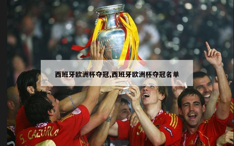 西班牙欧洲杯夺冠,西班牙欧洲杯夺冠名单