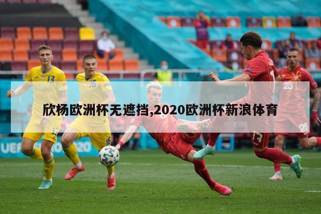 欣杨欧洲杯无遮挡,2020欧洲杯新浪体育