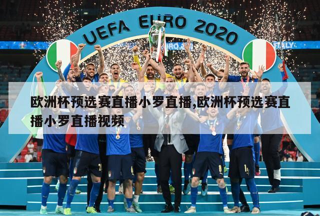 欧洲杯预选赛直播小罗直播,欧洲杯预选赛直播小罗直播视频