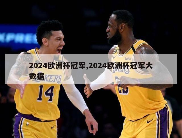 2024欧洲杯冠军,2024欧洲杯冠军大数据