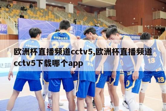 欧洲杯直播频道cctv5,欧洲杯直播频道cctv5下载哪个app