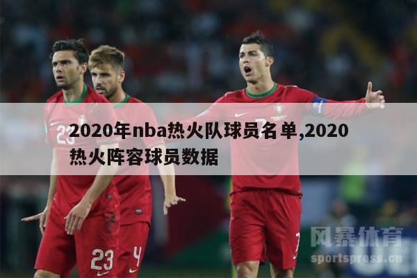 2020年nba热火队球员名单,2020热火阵容球员数据